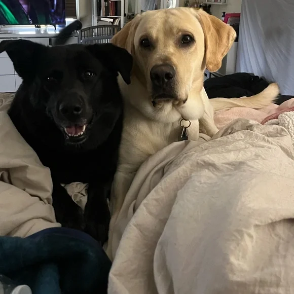 AMANDA is Live !! ππ This Flyer to Be Notified When I Go Live π¦π₯°π - Picture 14 of 14